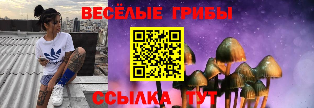 Галлюциногенные грибы прущие грибы Ханты-Мансийск